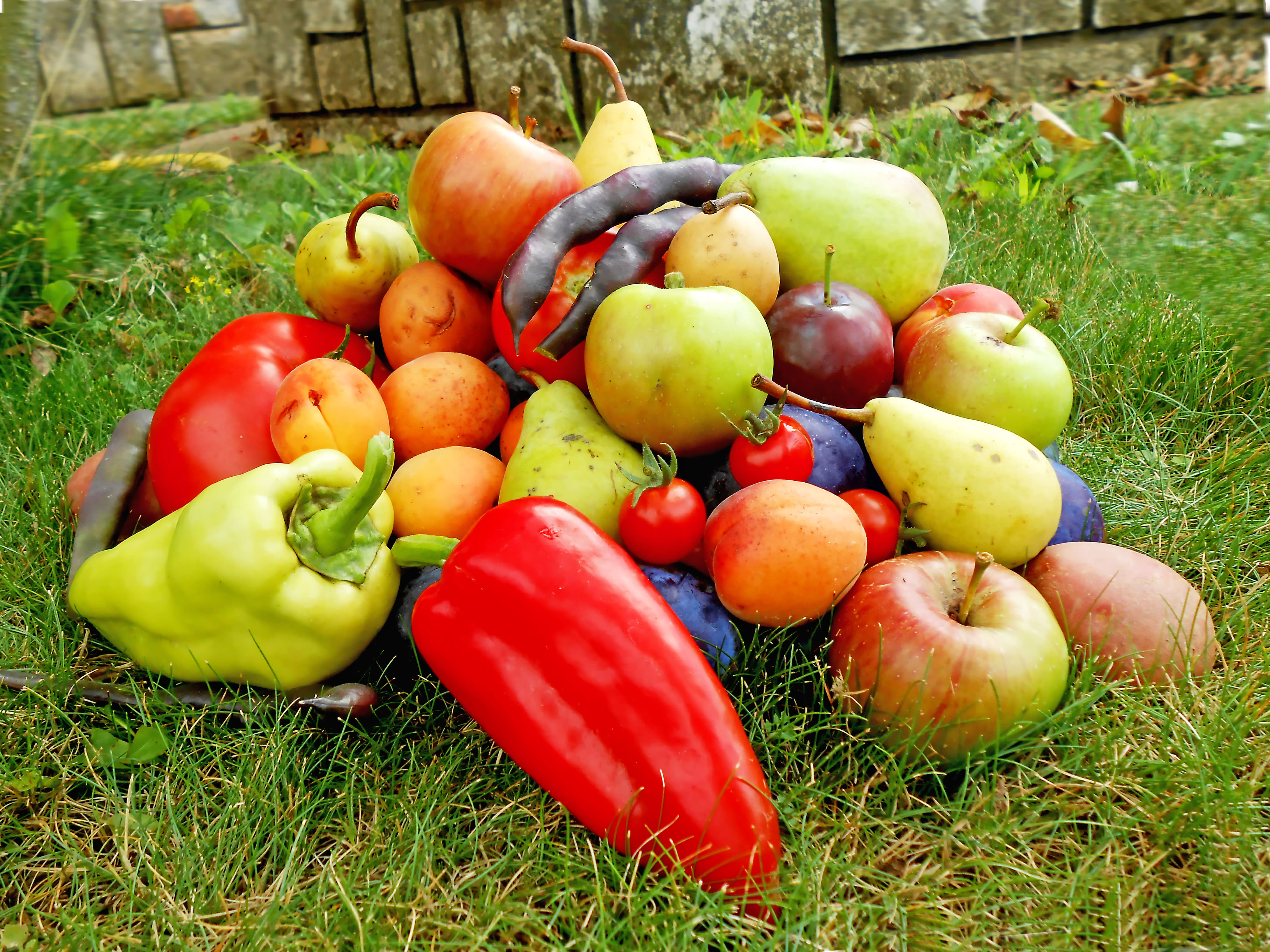 food pyramid fruit and vegetable for kids